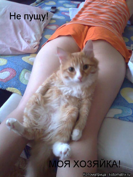 Котоматрица: Не пущу! МОЯ ХОЗЯЙКА!