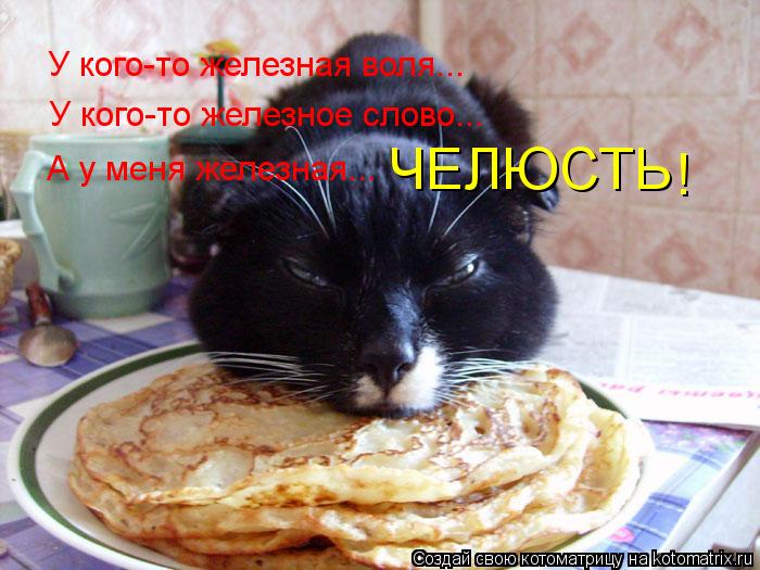 Котоматрица: У кого-то железная воля... У кого-то железное слово... А у меня железная... ЧЕЛЮСТЬ !