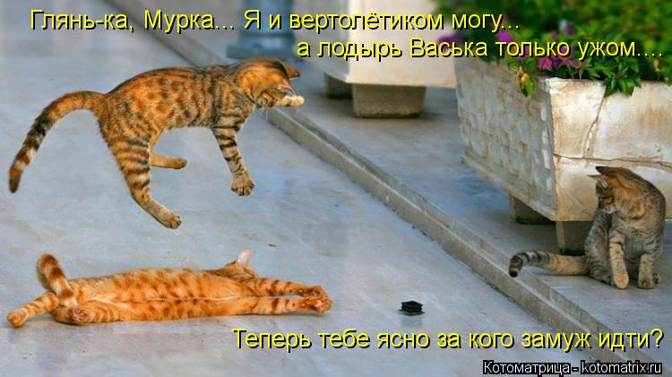 Котоматрица: Глянь-ка, Мурка... Я и вертолётиком могу...  а лодырь Васька только ужом.... Теперь тебе ясно за кого замуж идти?