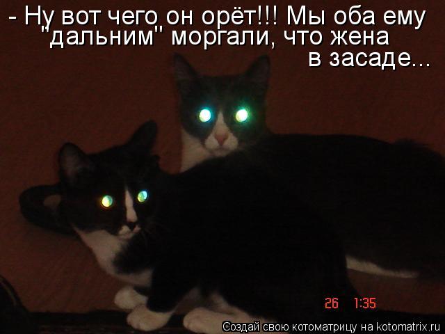 - Ну вот чего он орёт!!! Мы оба ему "дальним" моргали, что жена в засаде...... Котоматрица: - Ну вот чего он орёт!!! Мы оба ему "дальним" моргали, что жена в засаде...