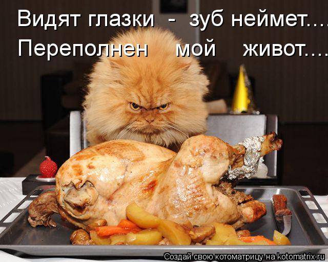 Котоматрица: Видят глазки  -  зуб неймет.... Переполнен    мой    живот....