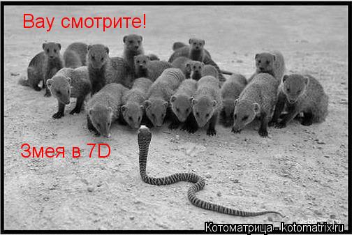 Котоматрица: Вау смотрите! Змея в 7D