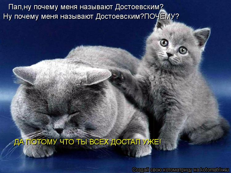 Пап,ну почему меня называют Достоевским? Ну почему меня называют Достоевским?ПОЧЕМУ? ДА ПОТОМУ ЧТО ТЫ... Котоматрица: Пап,ну почему меня называют Достоевским? Ну почему меня называют Достоевским?ПОЧЕМУ? ДА ПОТОМУ ЧТО ТЫ ВСЕХ ДОСТАЛ УЖЕ!