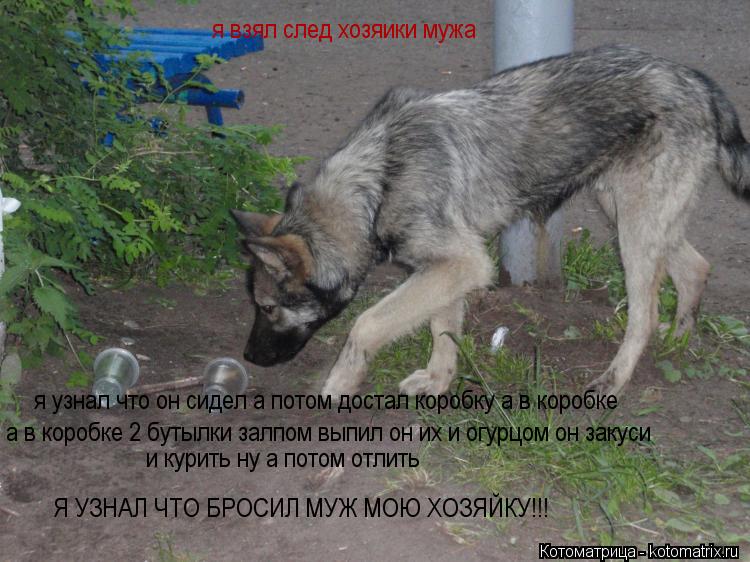 Котоматрица: я взял след хозяики мужа  я узнал что он сидел а потом достал коробку а в коробке а в коробке 2 бутылки залпом выпил он их и огурцом он закуси 
