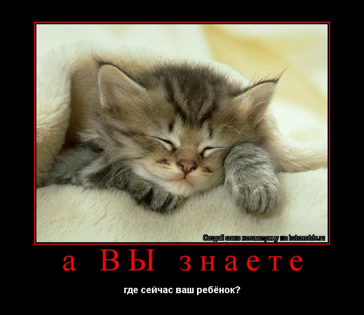 а ВЫ знаете где сейчас ваш ребёнок?... Котоматрица: а ВЫ знаете где сейчас ваш ребёнок?
