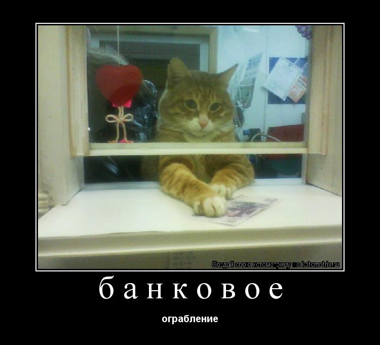 банковое ограбление... Котоматрица: банковое ограбление