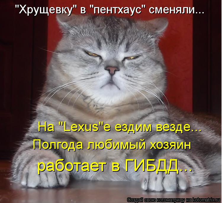 Котоматрица: "Хрущевку" в "пентхаус" сменяли... На "Lexus"е ездим везде... Полгода любимый хозяин работает в ГИБДД...