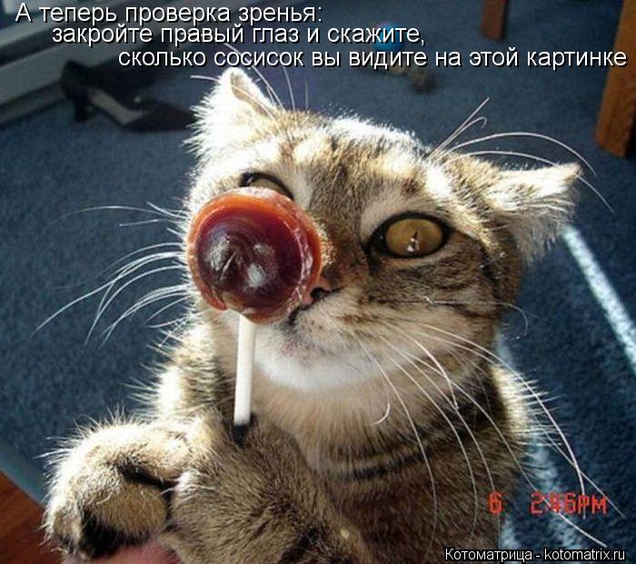 Котоматрица: А теперь проверка зренья: закройте правый глаз и скажите, сколько сосисок вы видите на этой картинке