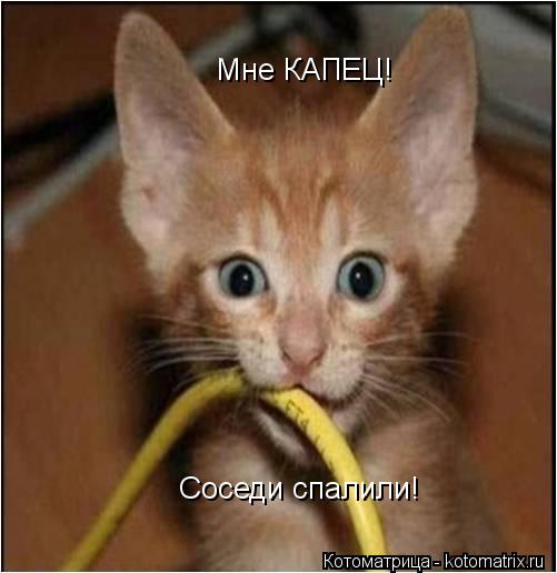 Котоматрица: Мне КАПЕЦ! Соседи спалили!