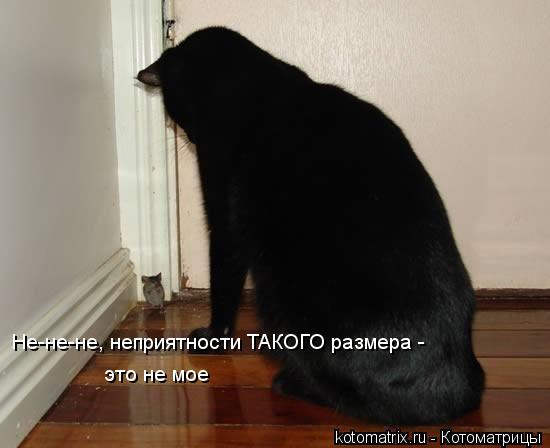 Не-не-не, неприятности ТАКОГО размера - это не мое... Котоматрица: Не-не-не, неприятности ТАКОГО размера - это не мое