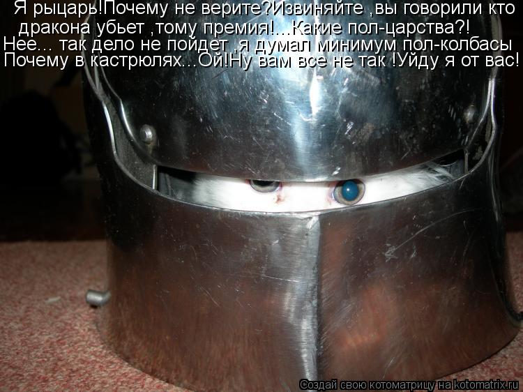 Котоматрица: Я рыцарь!Почему не верите?Извиняйте ,вы говорили кто дракона убьет ,тому премия!...Какие пол-царства?! Нее... так дело не пойдет ,я думал миниму