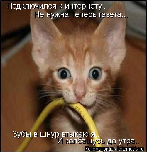 Котоматрица: Подключился к интернету... Не нужна теперь газета... Зубы в шнур втыкаю я... И колбашусь до утра...