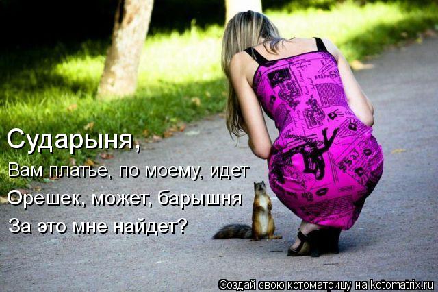 Котоматрица: Сударыня, Орешек, может, барышня За это мне найдет? Вам платье, по моему, идет
