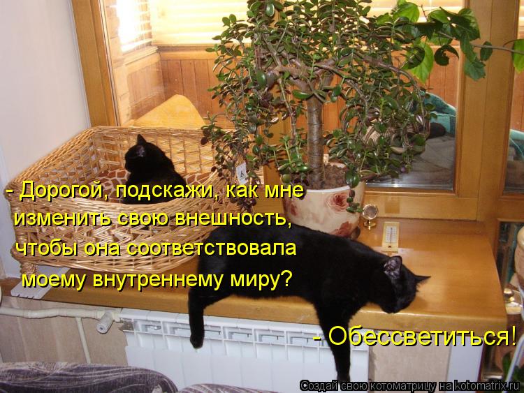 - Дорогой, подскажи, как мне изменить свою внешность, чтобы она соответствовала моему внутреннему мир... Котоматрица: - Дорогой, подскажи, как мне изменить свою внешность, чтобы она соответствовала моему внутреннему миру? - Обессветиться!