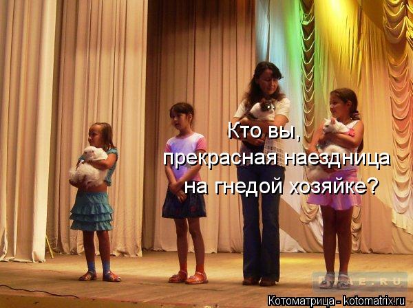 Кто вы, прекрасная наездница на гнедой хозяйке?... Котоматрица: Кто вы, прекрасная наездница на гнедой хозяйке?