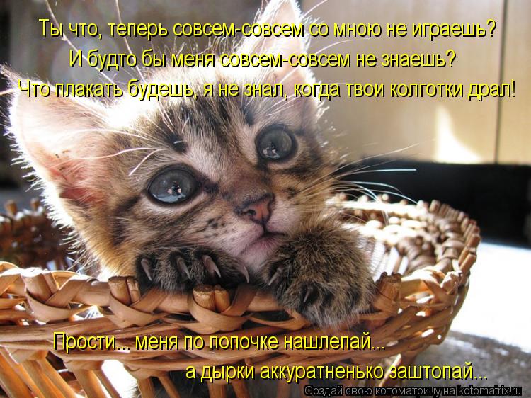 Прости... меня по попочке нашлепай... а дырки аккуратненько заштопай... И будто бы меня совсем-совсем... Котоматрица: Прости... меня по попочке нашлепай... а дырки аккуратненько заштопай... И будто бы меня совсем-совсем не знаешь? Что плакать будешь, я не знал, к