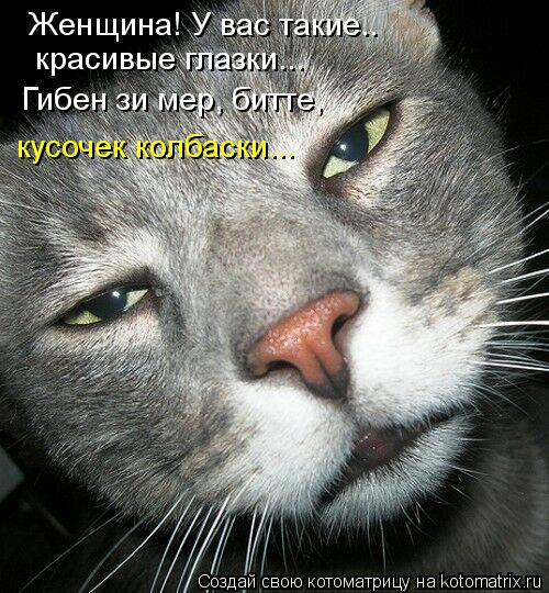 Котоматрица: Женщина! У вас такие.. красивые глазки... Гибен зи мер, битте,  кусочек колбаски...