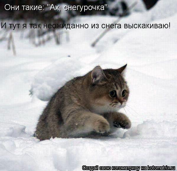 Котоматрица: Они такие: "Ах, снегурочка" И тут я так неожиданно из снега выскакиваю!