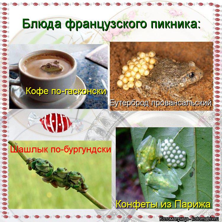 Котоматрица: Блюда французского пикника: Кофе по-гасконски Бутерброд провансальский Шашлык по-бургундски Конфеты из Парижа