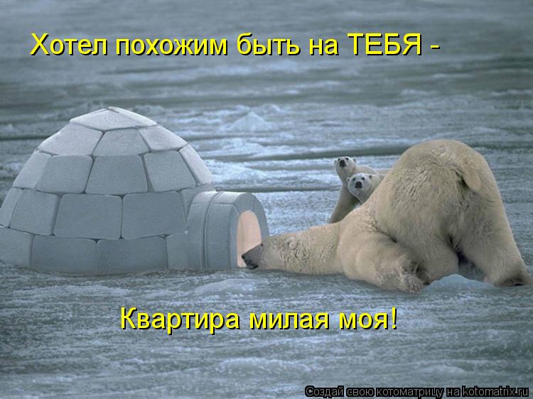 Котоматрица: Хотел похожим быть на ТЕБЯ -  Квартира милая моя!