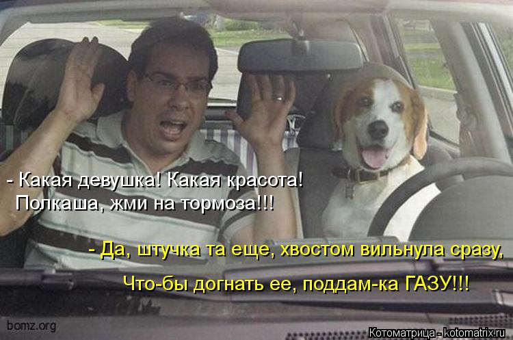 Котоматрица: - Какая девушка! Какая красота! Полкаша, жми на тормоза!!! - Да, штучка та еще, хвостом вильнула сразу, Что-бы догнать ее, поддам-ка ГАЗУ!!!