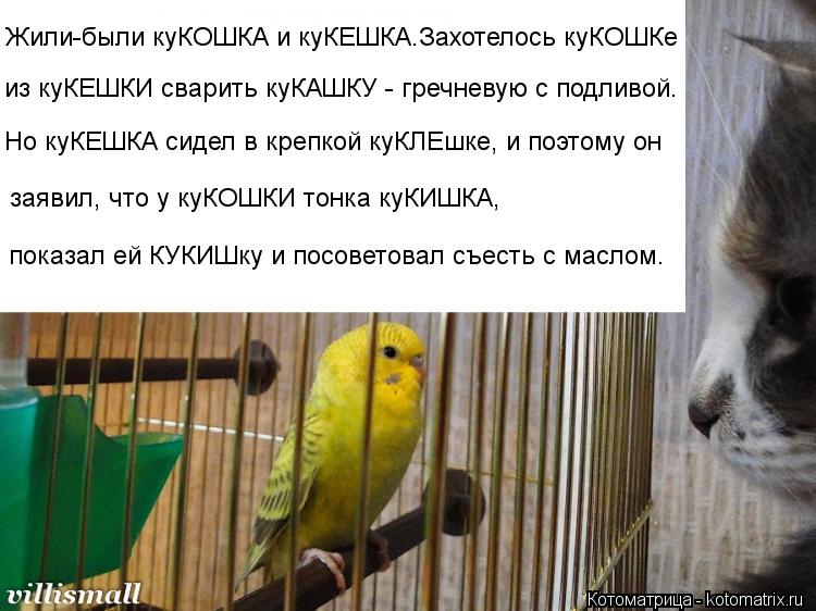 Жили-были куКОШКА и куКЕШКА.Захотелось куКОШКе из куКЕШКИ сварить куКАШКУ - гречневую с подливой. Но ... Котоматрица: Жили-были куКОШКА и куКЕШКА.Захотелось куКОШКе из куКЕШКИ сварить куКАШКУ - гречневую с подливой. Но куКЕШКА сидел в крепкой куКЛЕшке, и поэ
