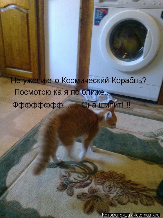 Котоматрица: Не ужели это Космический-Корабль? Посмотрю ка я по ближе..... Фффффффф....... Она шипит!!!!