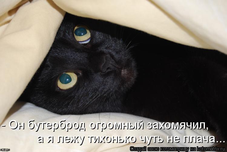 Котоматрица: - Он бутерброд огромный захомячил, а я лежу тихонько чуть не плача...