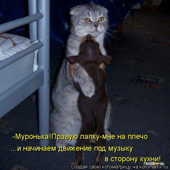 Котоматрица: -Муронька!Правую лапку-мне на плечо ...и начинаем движение под музыку  в сторону кухни!