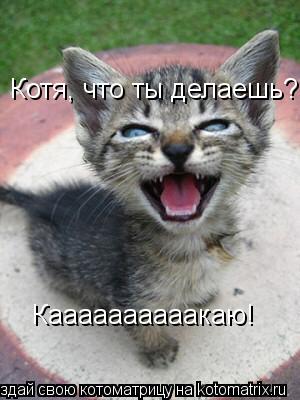 Каааааааааакаю! Котя, что ты делаешь?... Котоматрица: Каааааааааакаю! Котя, что ты делаешь?