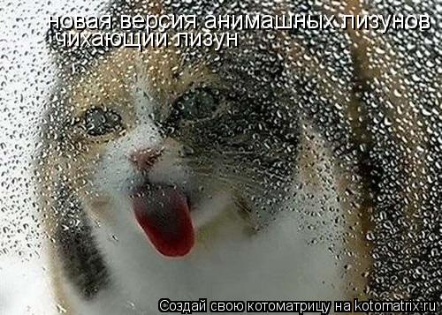 Котоматрица: новая версия анимашных лизунов чихающий лизун