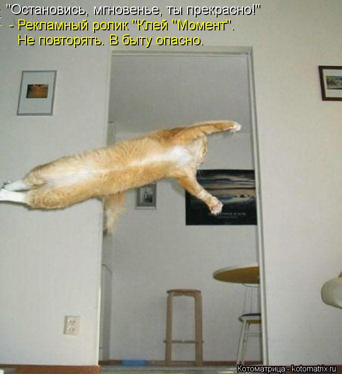 Котоматрица: "Остановись, мгновенье, ты прекрасно!" - Рекламный ролик "Клей "Момент".  Не повторять. В быту опасно.