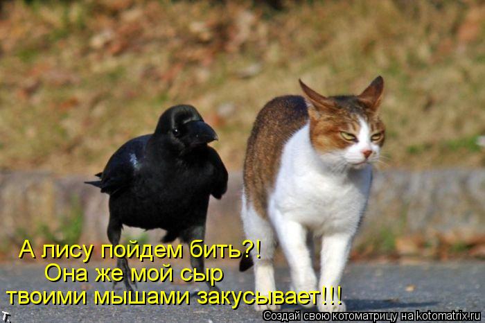 А лису пойдем бить?! Она же мой сыр твоими мышами закусывает!!!... Котоматрица: А лису пойдем бить?! Она же мой сыр твоими мышами закусывает!!!