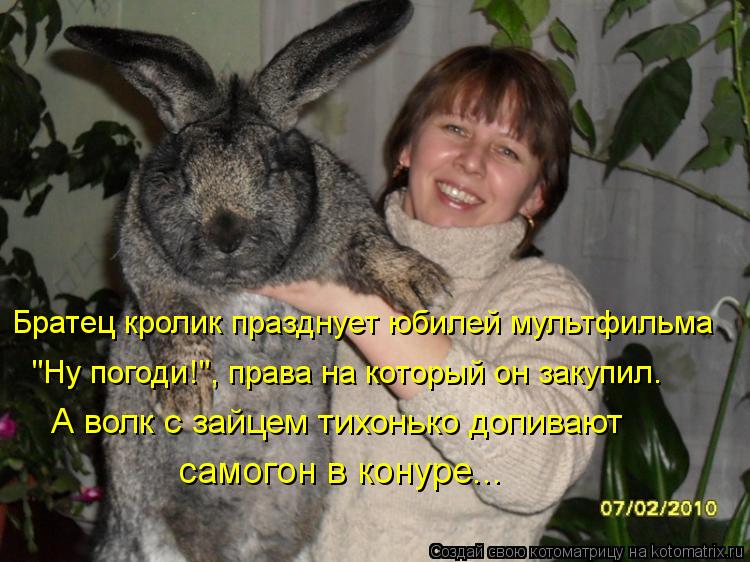 Котоматрица: Братец кролик празднует юбилей мультфильма "Ну погоди!", права на который он закупил. А волк с зайцем тихонько допивают самогон в конуре...
