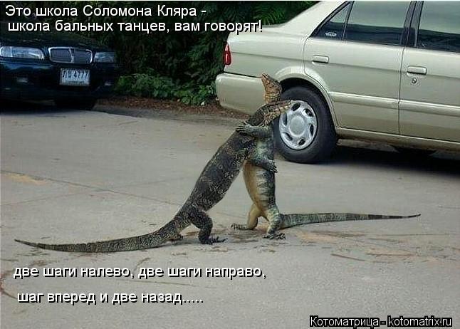 Котоматрица: Это школа Соломона Кляра -   школа бальных танцев, вам говорят!   две шаги налево, две шаги направо,  шаг вперед и две назад.....