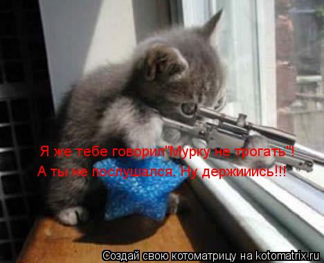 Я же тебе говорил"Мурку не трогать"! А ты не послушался. Ну держииись!!!... Котоматрица: Я же тебе говорил"Мурку не трогать"! А ты не послушался. Ну держииись!!!