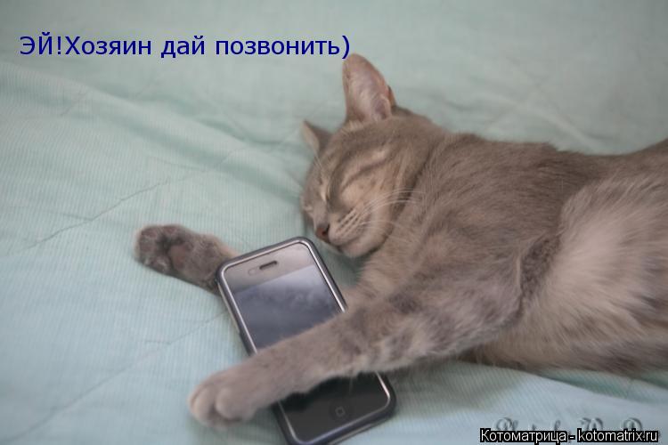 Котоматрица: ЭЙ!Хозяин дай позвонить)