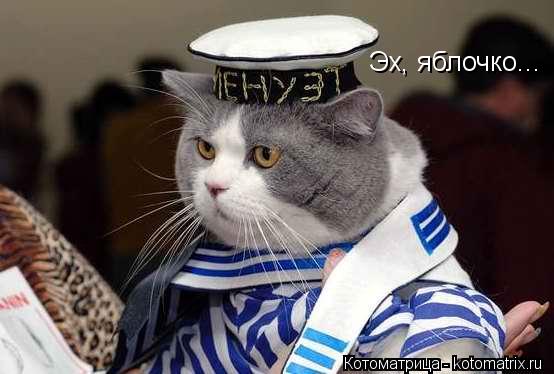 Котоматрица: Эх, яблочко...
