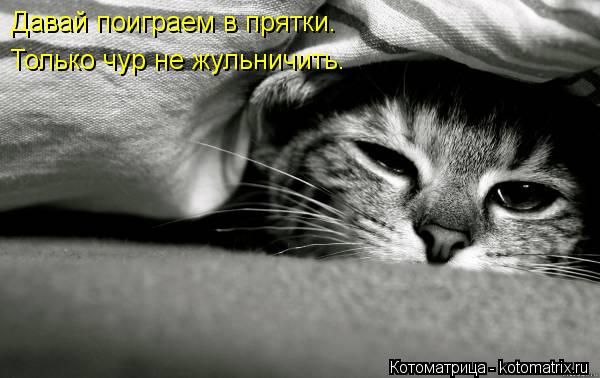 Давай поиграем в прятки. Только чур не жульничить.... Котоматрица: Давай поиграем в прятки. Только чур не жульничить.