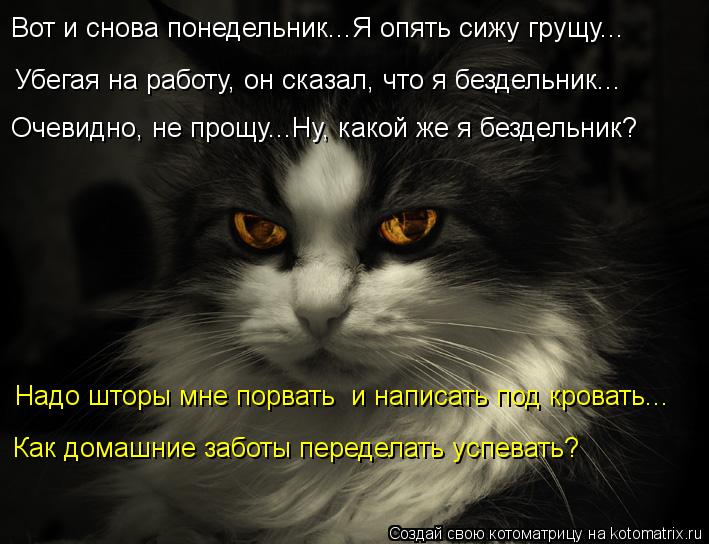 Вот и снова понедельник...Я опять сижу грущу... Убегая на работу, он сказал, что я бездельник... Очев... Котоматрица: Вот и снова понедельник...Я опять сижу грущу... Убегая на работу, он сказал, что я бездельник... Очевидно, не прощу...Ну, какой же я бездельник? На