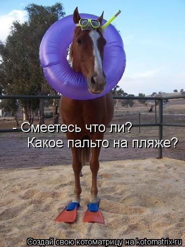 - Смеетесь что ли? Какое пальто на пляже?... Котоматрица: - Смеетесь что ли? Какое пальто на пляже?