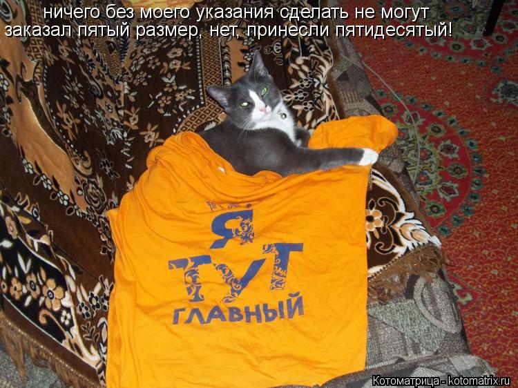 ничего без моего указания сделать не могут заказал пятый размер, нет, принесли пятидесятый!... Котоматрица: ничего без моего указания сделать не могут заказал пятый размер, нет, принесли пятидесятый!