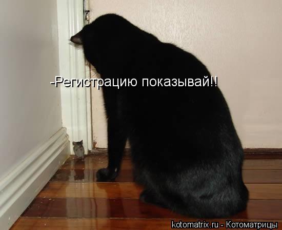 Котоматрица: -Регистрацию показывай!!
