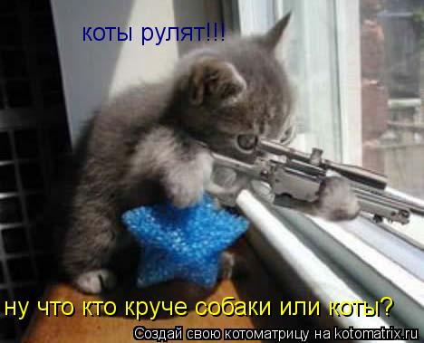 ну что кто круче собаки или коты? коты рулят!!!... Котоматрица: ну что кто круче собаки или коты? коты рулят!!!