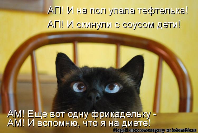 Котоматрица: АП! И на пол упала тефтелька! АМ! И вспомню, что я на диете! АМ! Еще вот одну фрикадельку -  АП! И скинули с соусом дети!