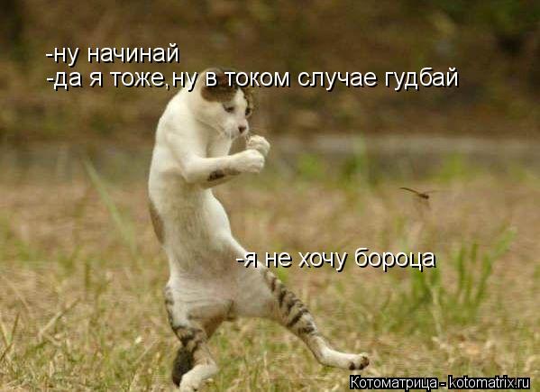 -ну начинай -я не хочу бороца -да я тоже,ну в током случае гудбай... Котоматрица: -ну начинай -я не хочу бороца -да я тоже,ну в током случае гудбай
