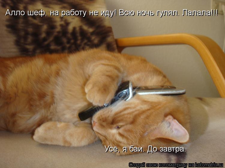 Алло шеф, на работу не иду! Всю ночь гулял. Лалала!!! Усё, я баи. До завтра.... Котоматрица: Алло шеф, на работу не иду! Всю ночь гулял. Лалала!!! Усё, я баи. До завтра.