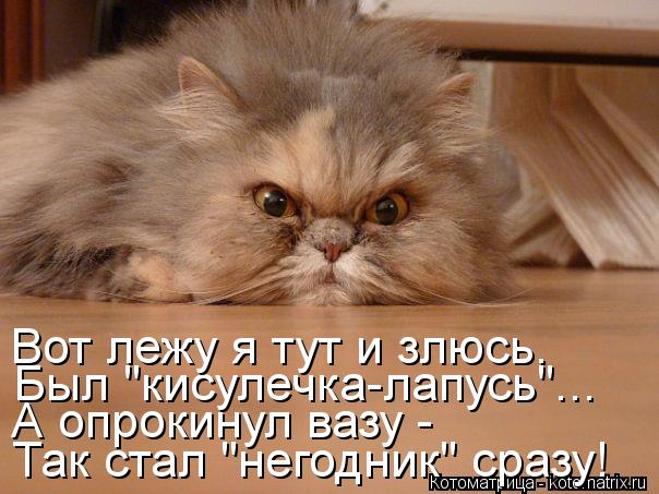 Котоматрица: Так стал "негодник" сразу! А опрокинул вазу - Был "кисулечка-лапусь"... Вот лежу я тут и злюсь.