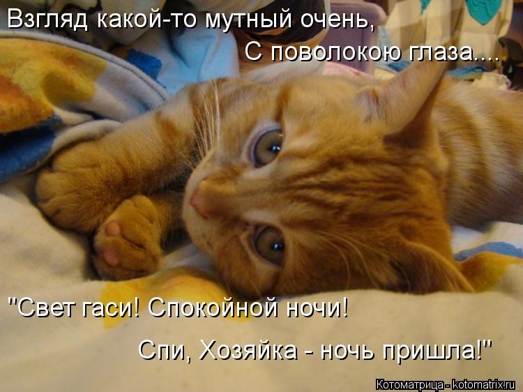 Котоматрица: Взгляд какой-то мутный очень, С поволокою глаза.... "Свет гаси! Спокойной ночи! Спи, Хозяйка - ночь пришла!"