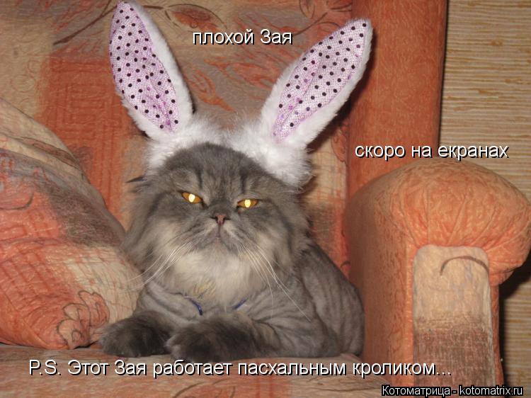 Котоматрица: плохой Зая скоро на екранах P.S. Этот Зая работает пасхальным кроликом...